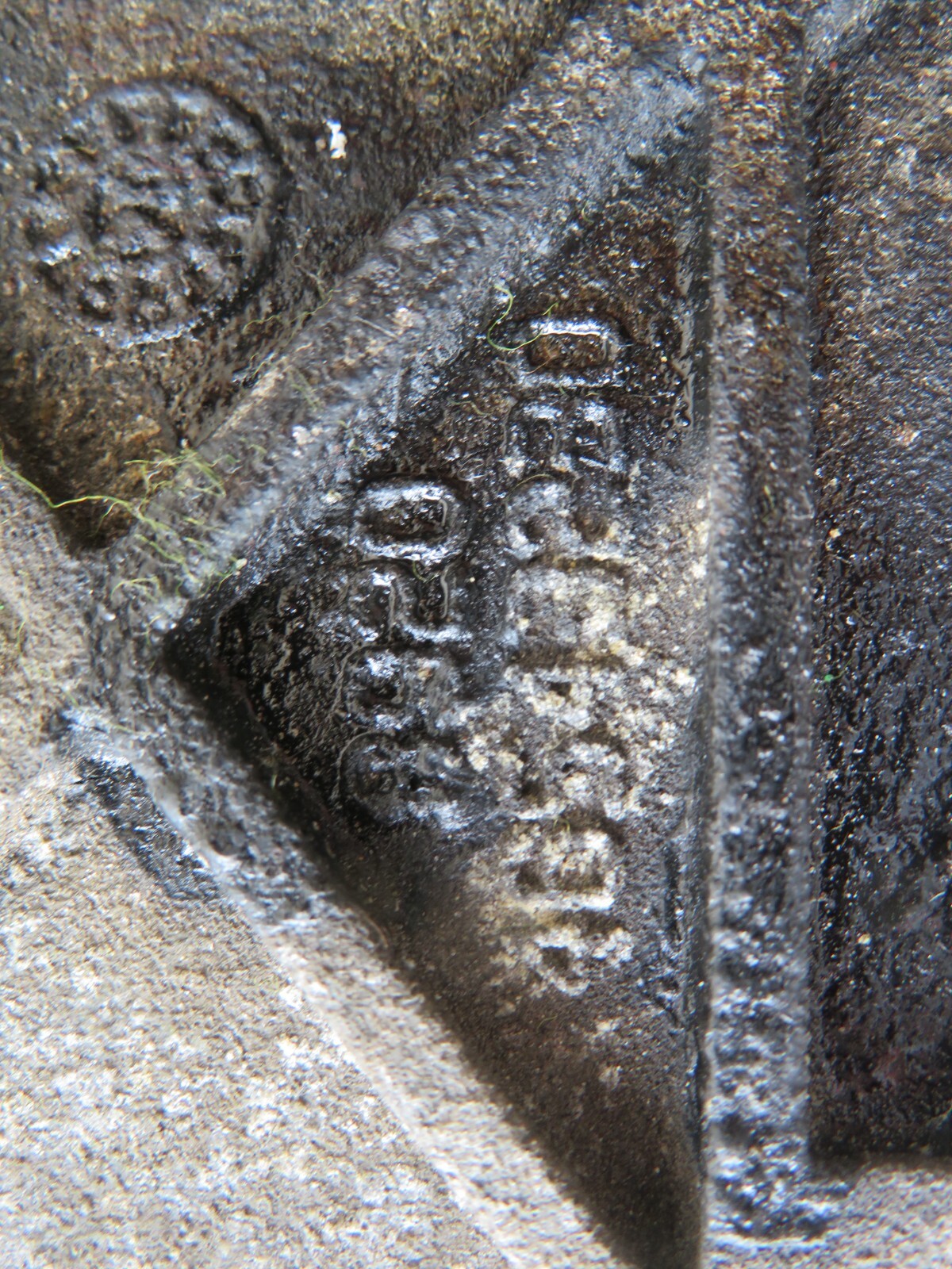 FIAT PANDA IGNITION COIL PACKS WITH LEADS  2003-2012 AMS1536